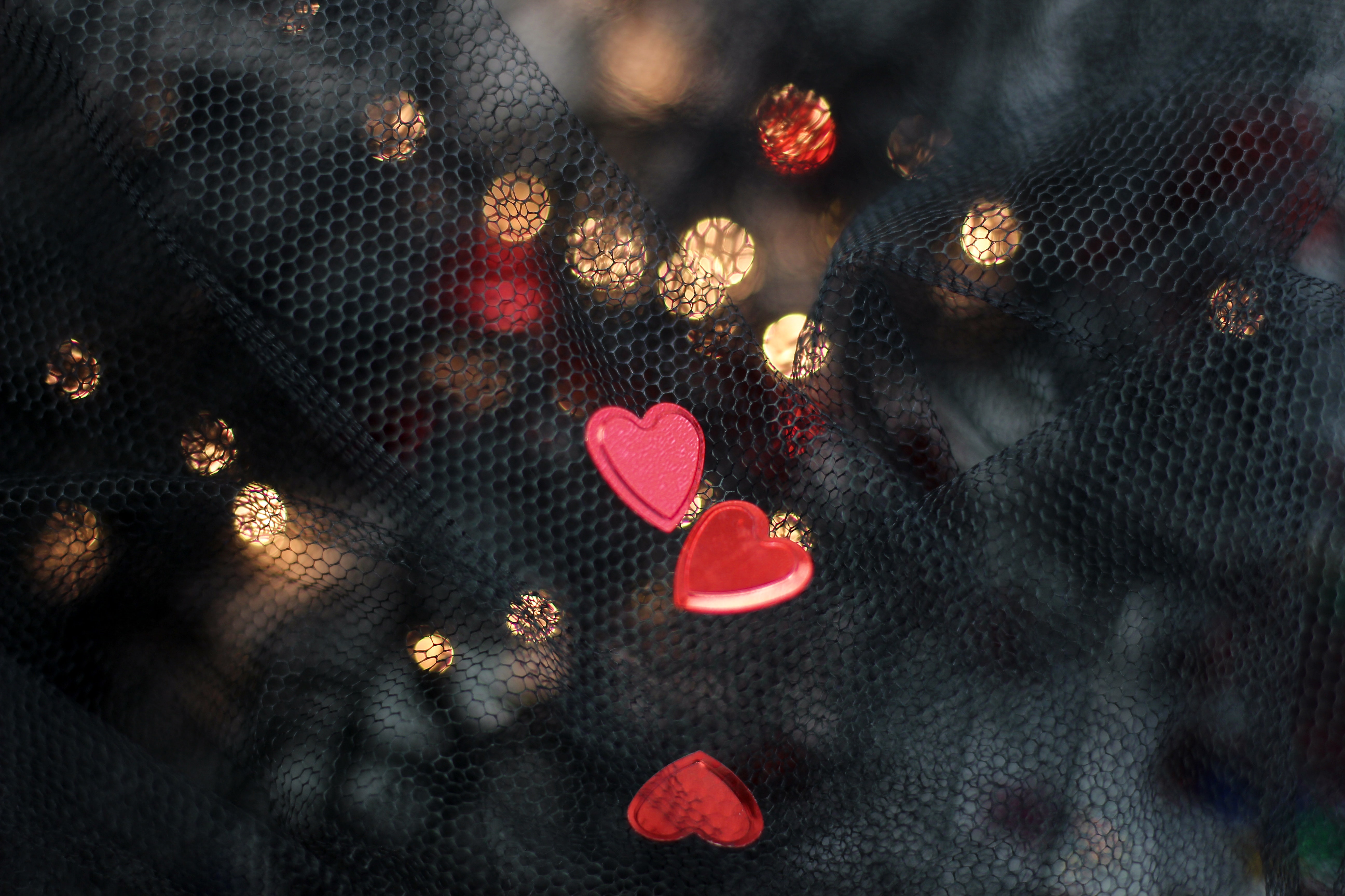 Photo by Djurdjina ph.djiz from Pexels